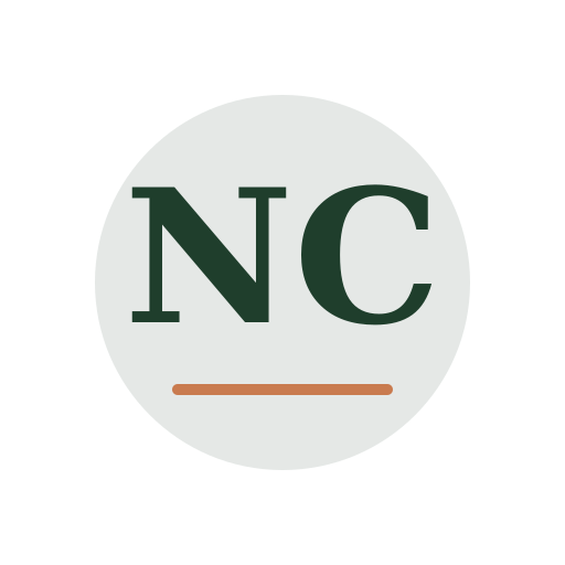 Neni Chimney Repair logo
